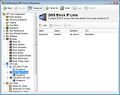 DNS IP Allow/Block Lists