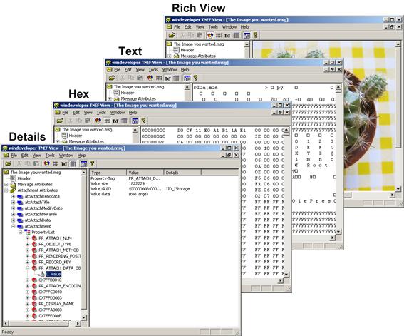 Different View Modes